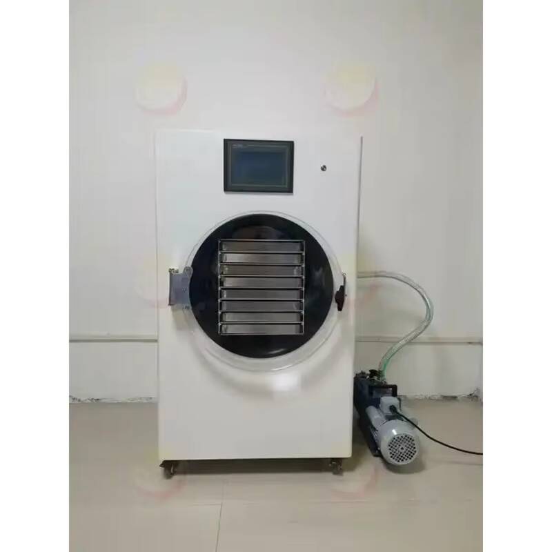 Gefriertrocknungsmaschine Klei – Vacuum Chamber Small Bewertung und Preis