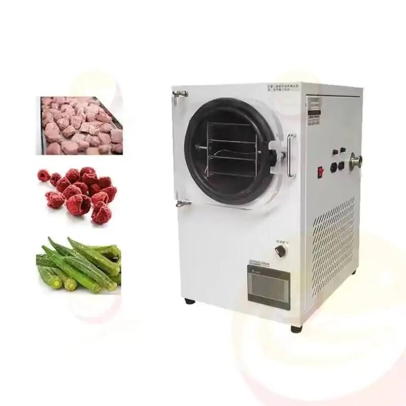 Gefriertrocknungsmaschine Klei – Vacuum Chamber Small Bewertung und Preis